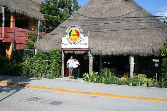 Charlies on Tulum Avenue